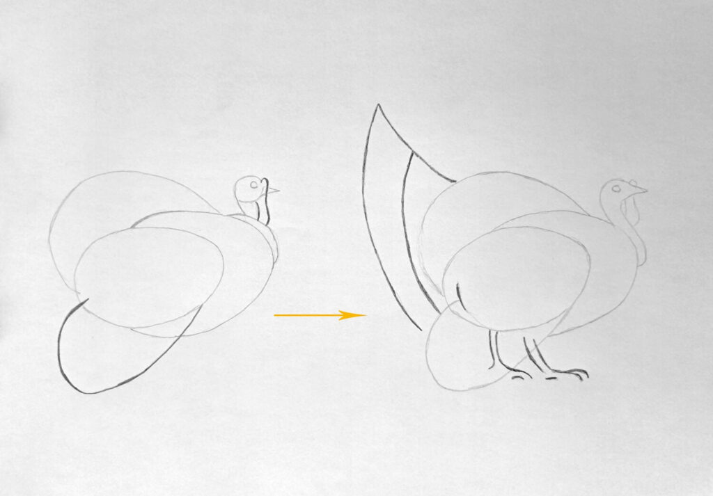 2. Sketching the Tail, Wing, and Feet