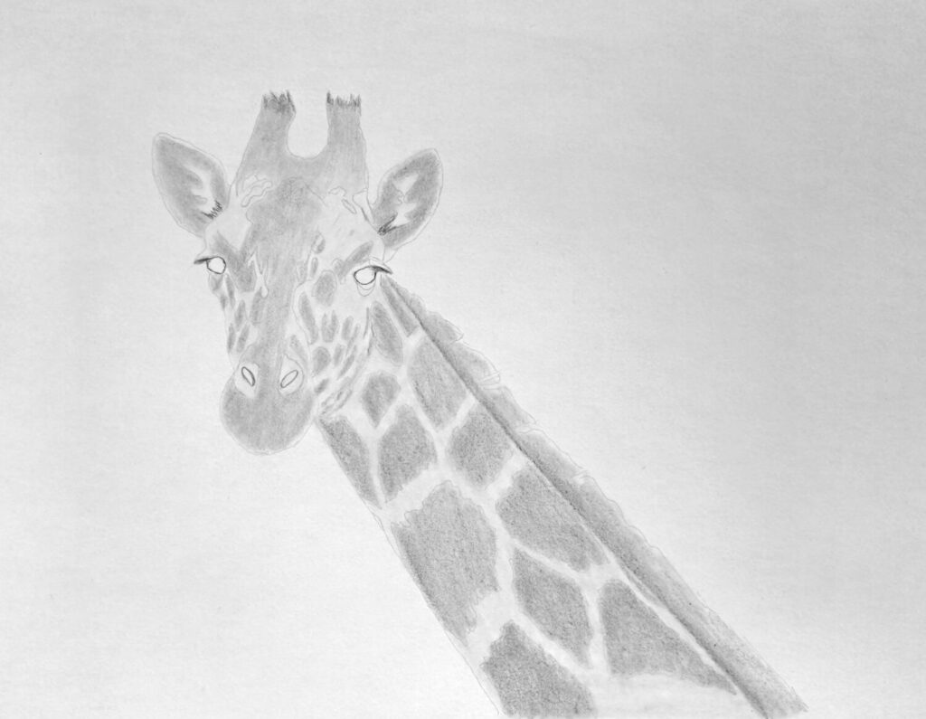 3. Basic Shading for Volume