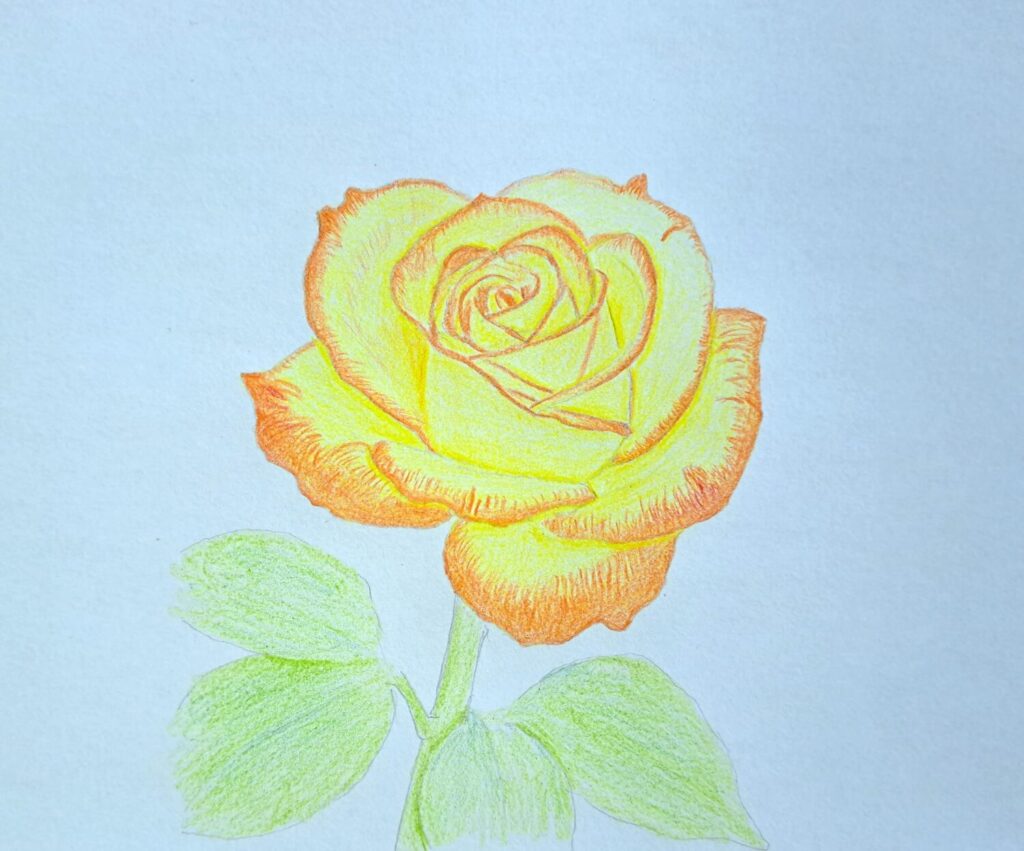 3. Coloring the Rose Petals