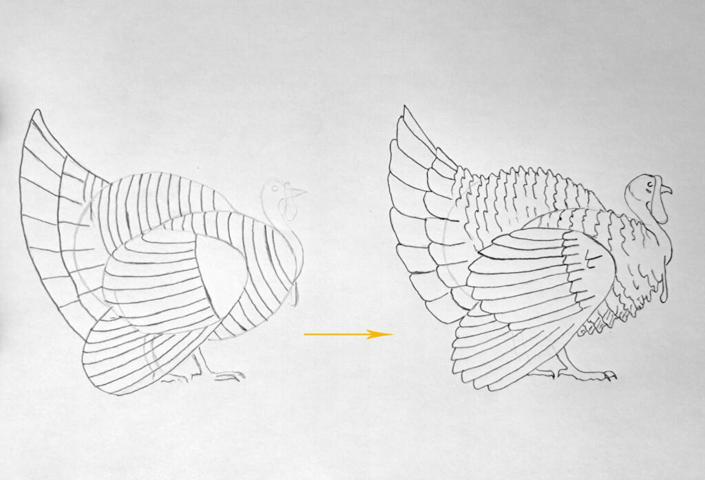 3. Drawing the Feather Details
