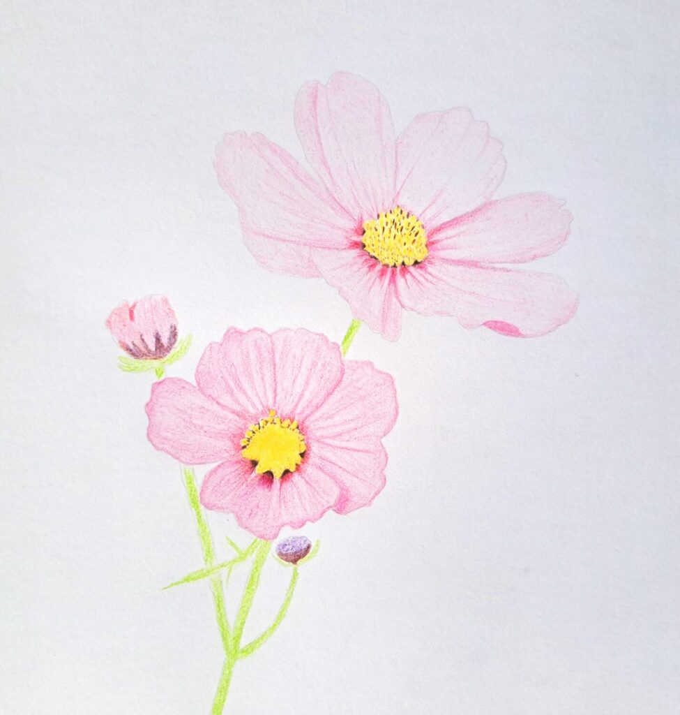 4. Coloring the Flower Petals