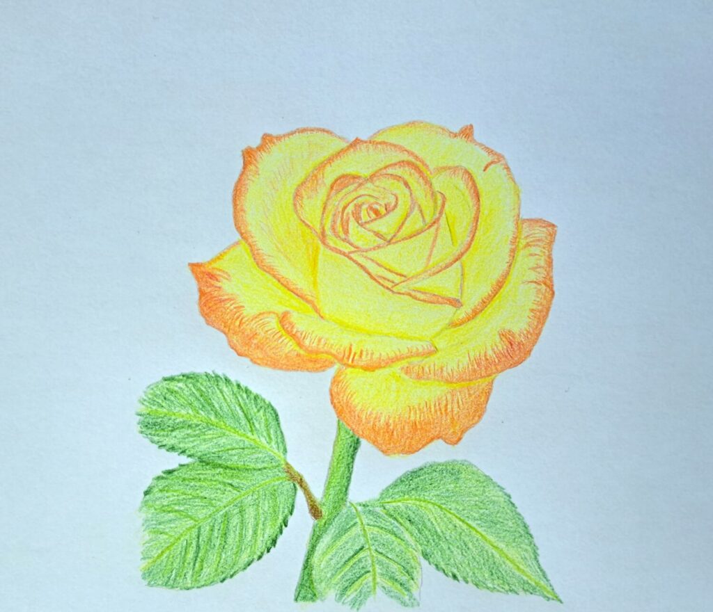 4. Coloring the Stem and Leaves