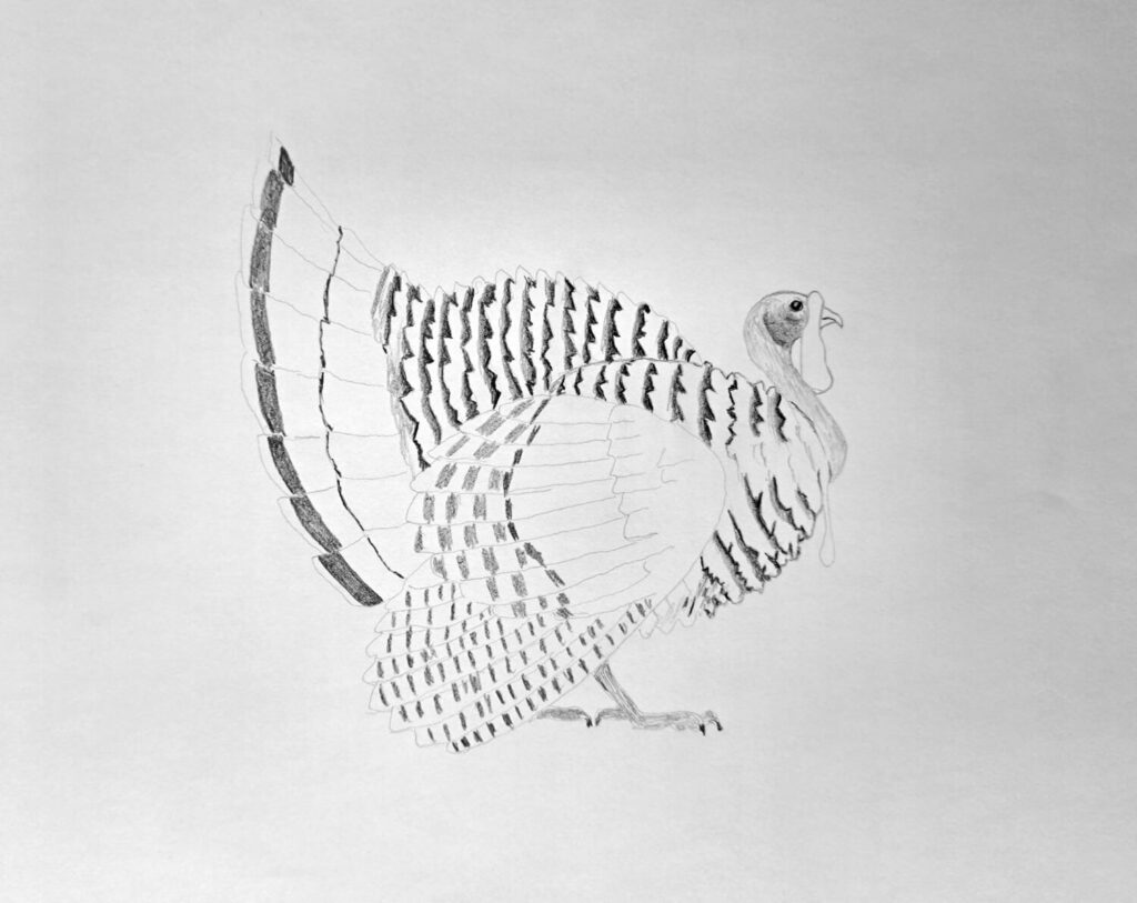 4. Shading the Feather Shadows