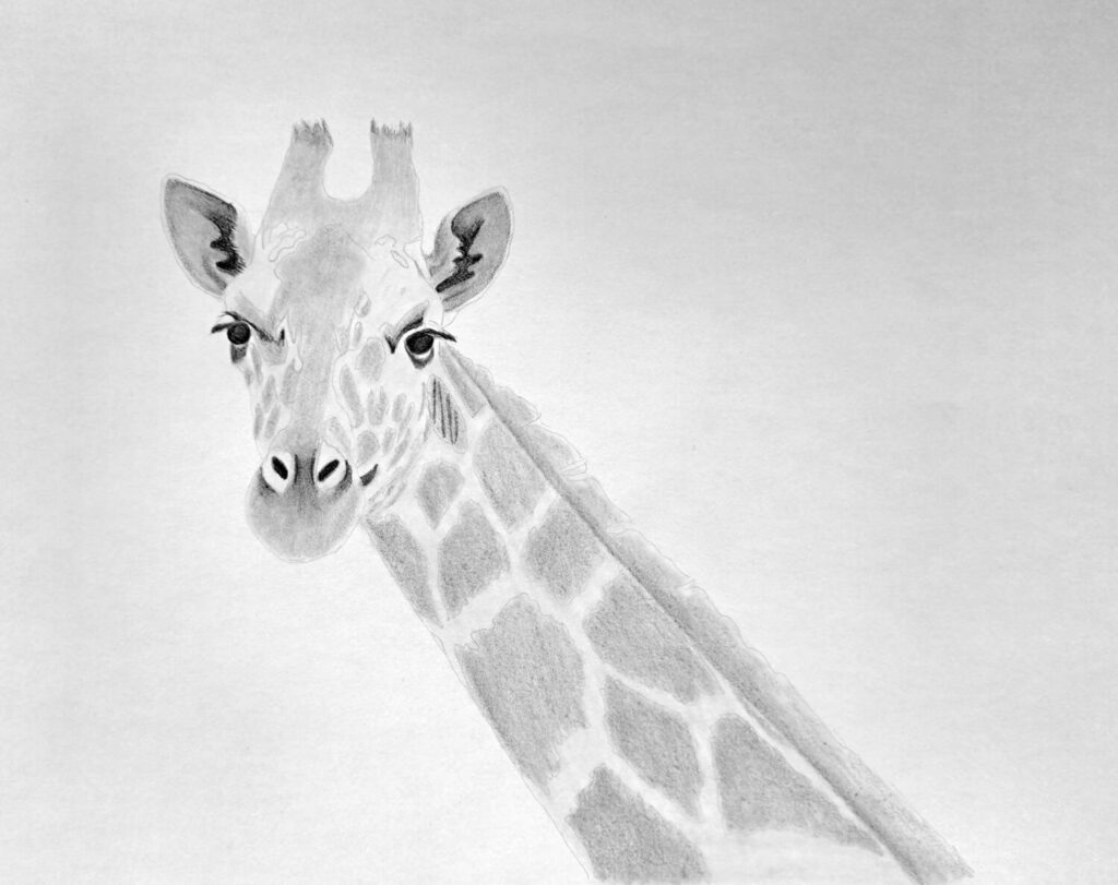 4. Shading the Giraffe's Face