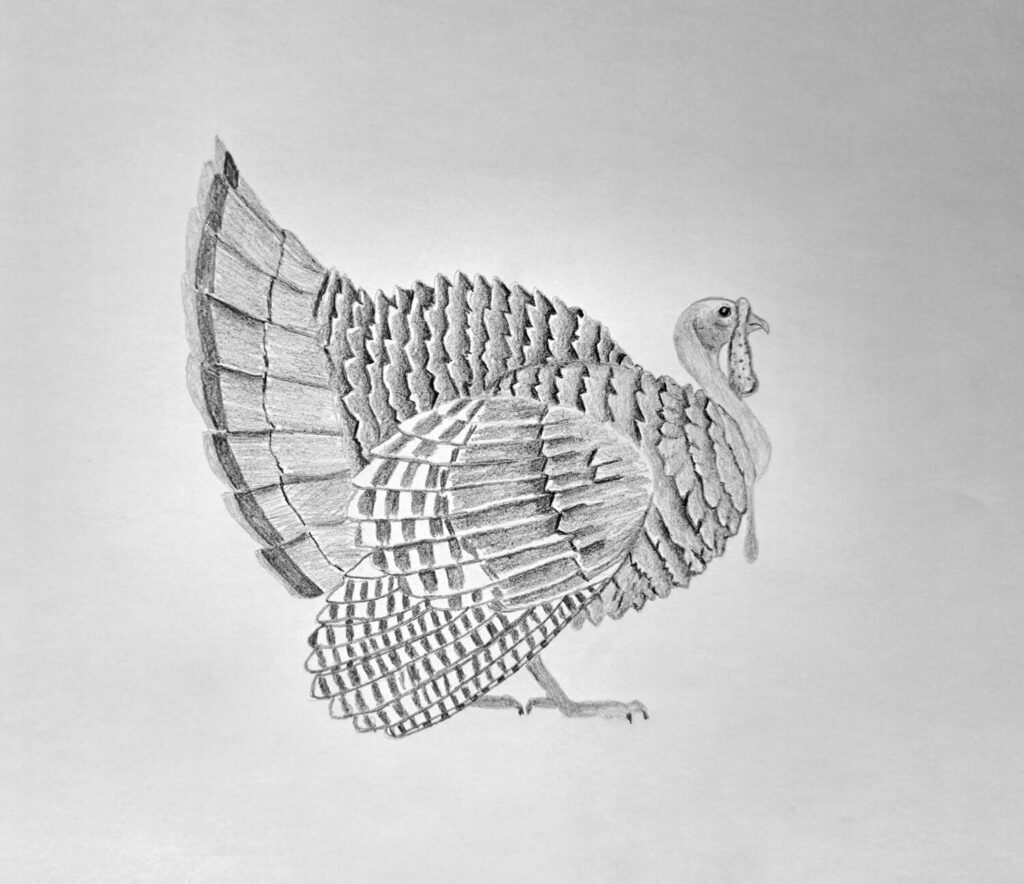 5. Shading the Feather Midtones
