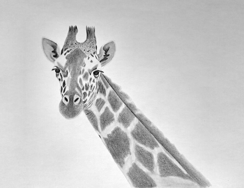 5. Shading the Giraffe's Pattern