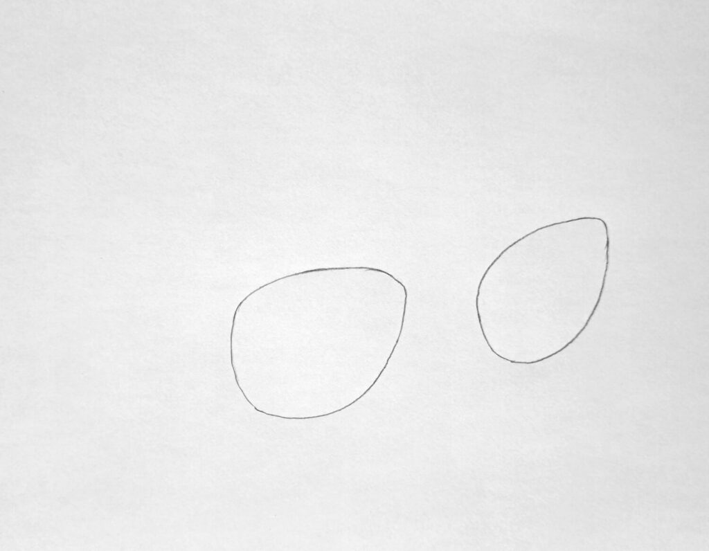 1. Sketch the Shape of Lenses