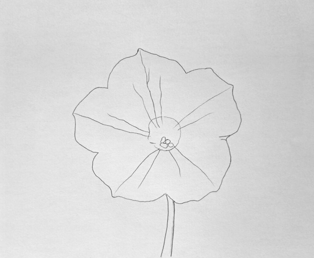1. Sketching the Flower Outline
