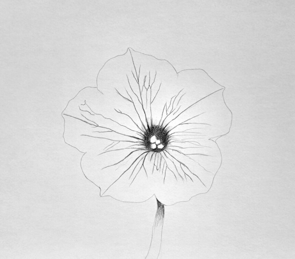 2. The darks - Shade the center and veins