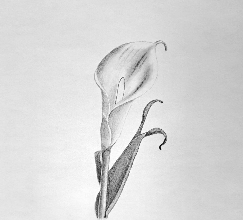3. Adding depth to the drawing