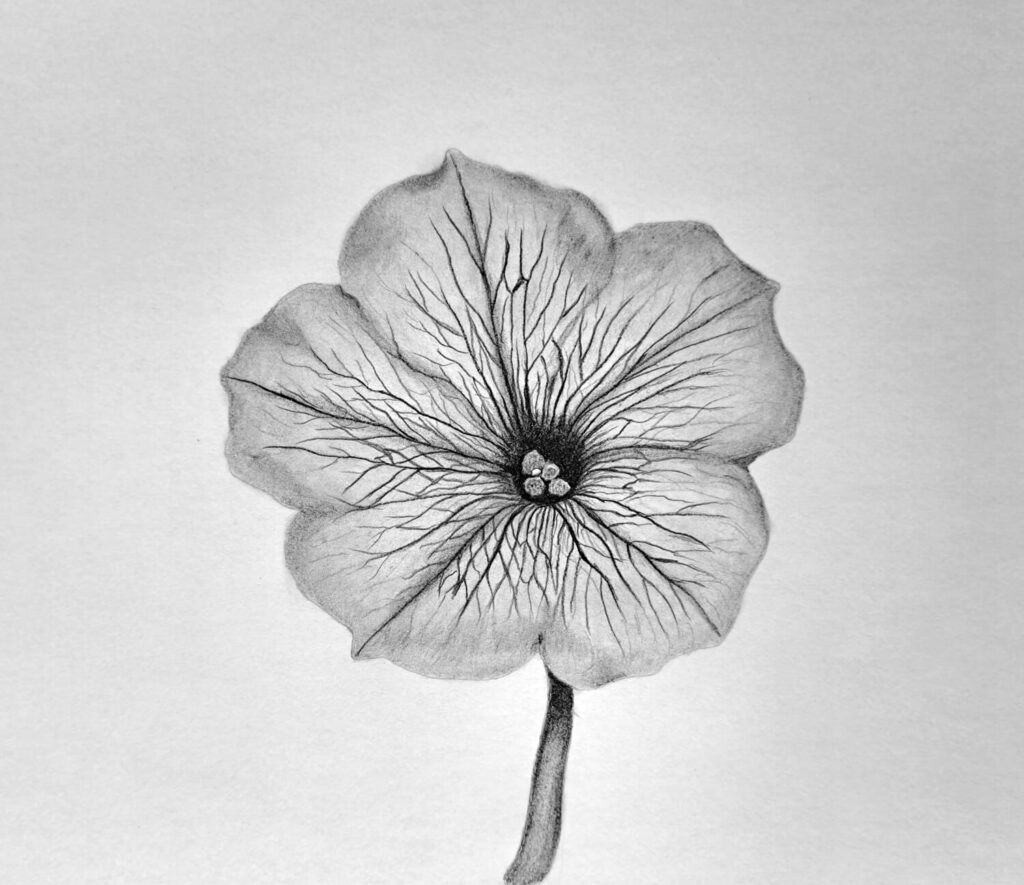 4. Deepening the shadows on the flower