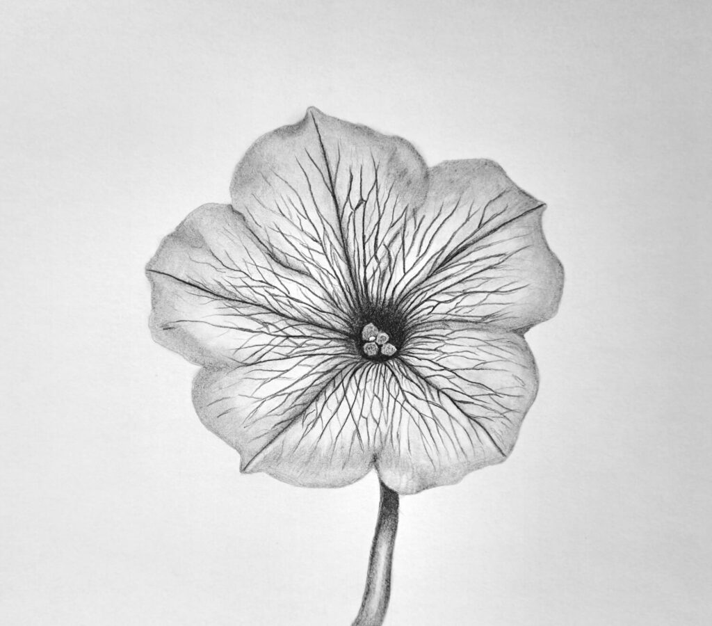 5. Highlights for Creating Contrast