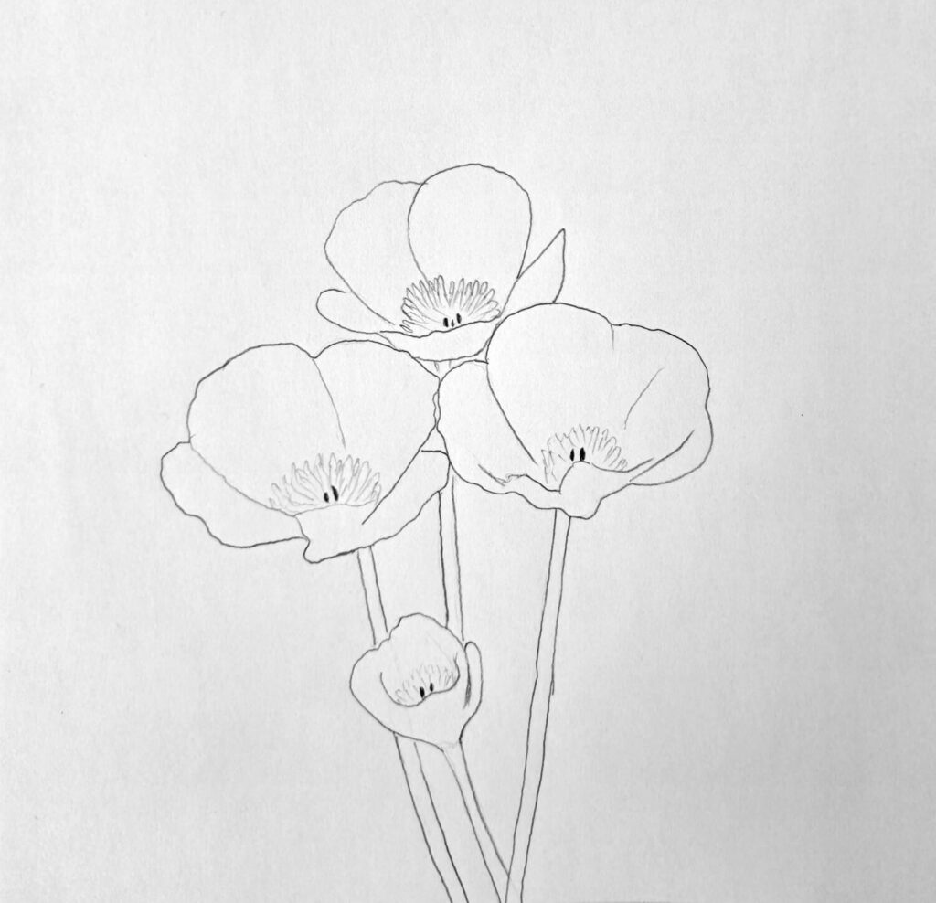 1. Draw the Line Sketch Using a Graphite Pencil