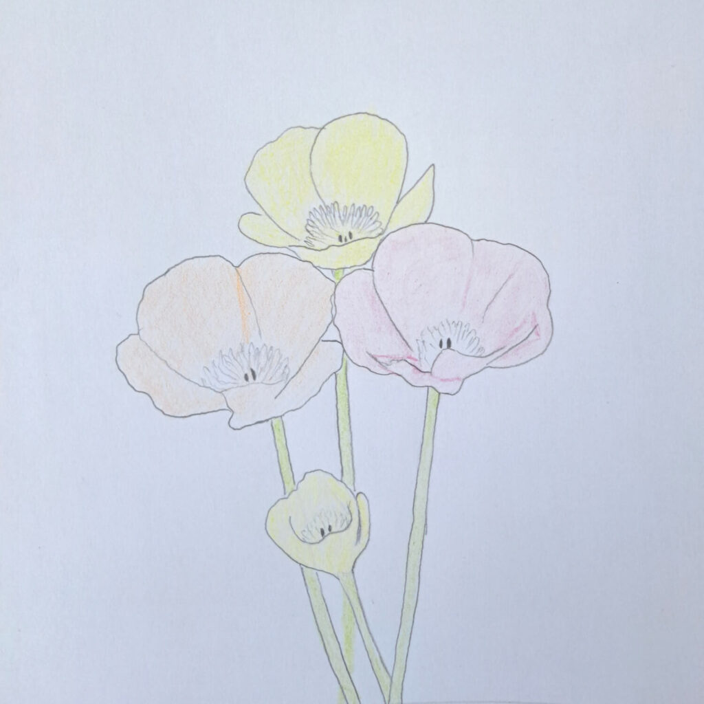 2. Basic Light Coloring - First Layer