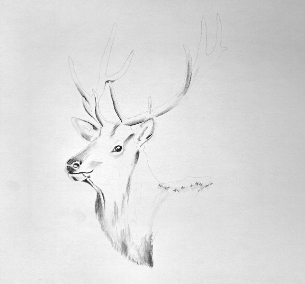 2. Capturing the Dark Values across the Drawing