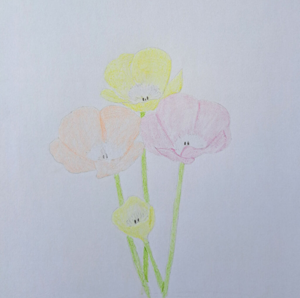3. Erase the Graphite Outline
