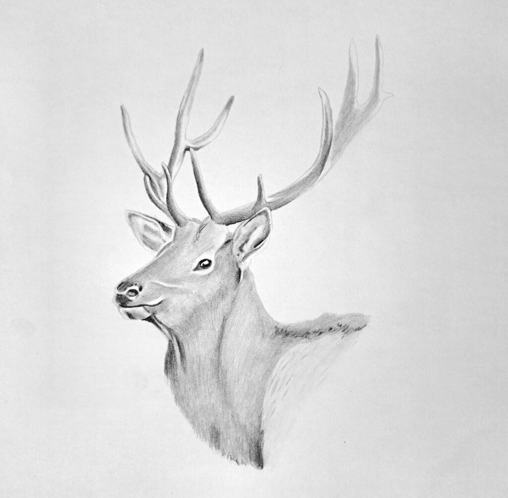 3. Shading the Midtones