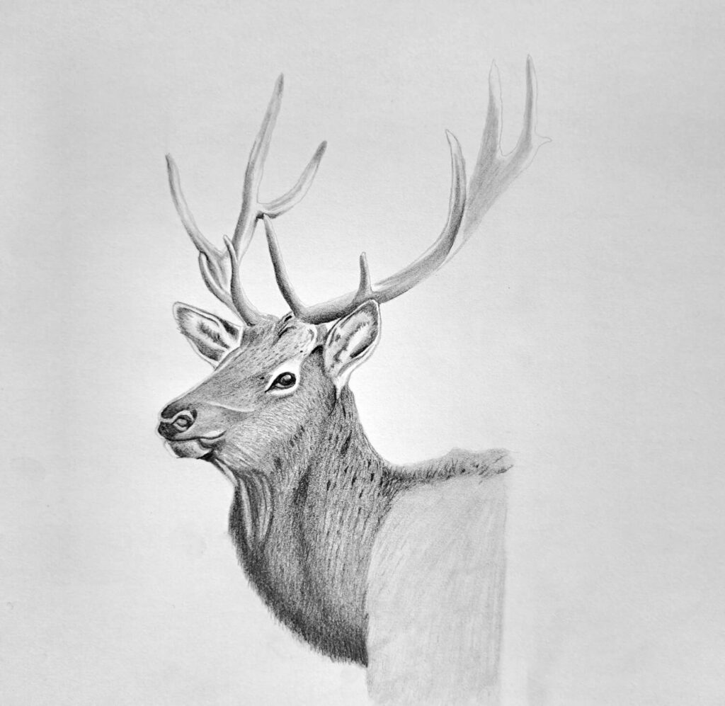 4. Adding a Second Layer of Dark Values
