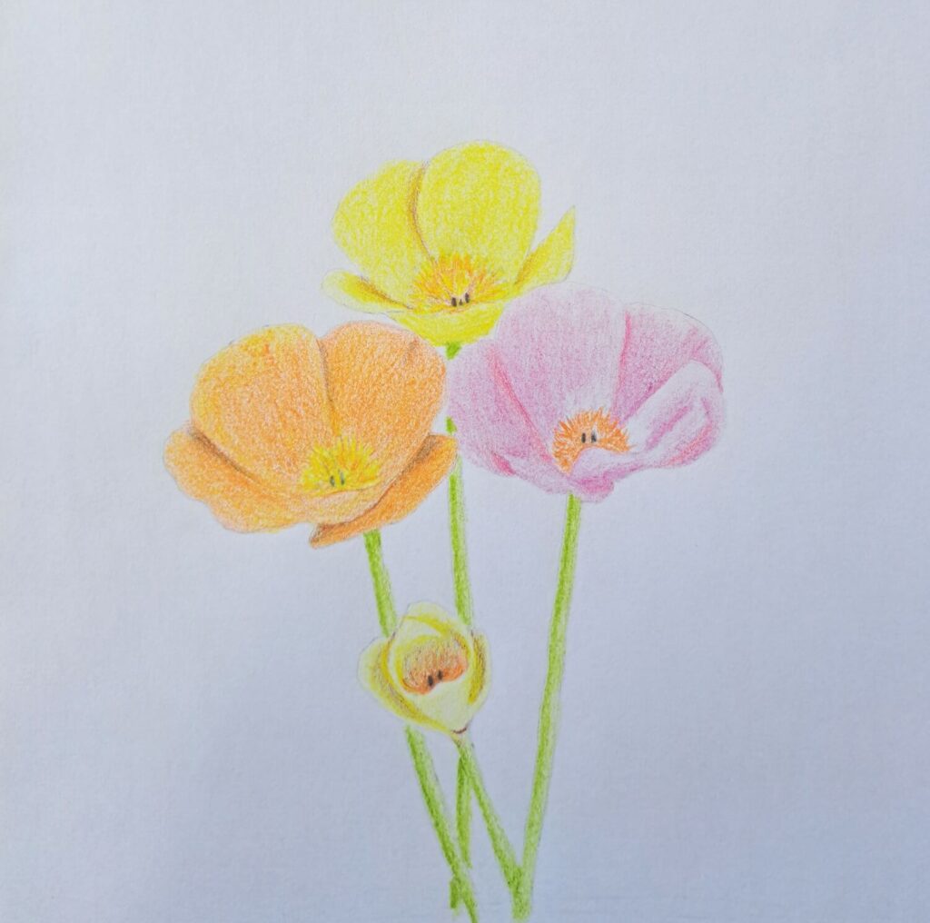 4. Coloring the Shadows with Complementary Colors