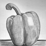 Bell Pepper Drawing Featured