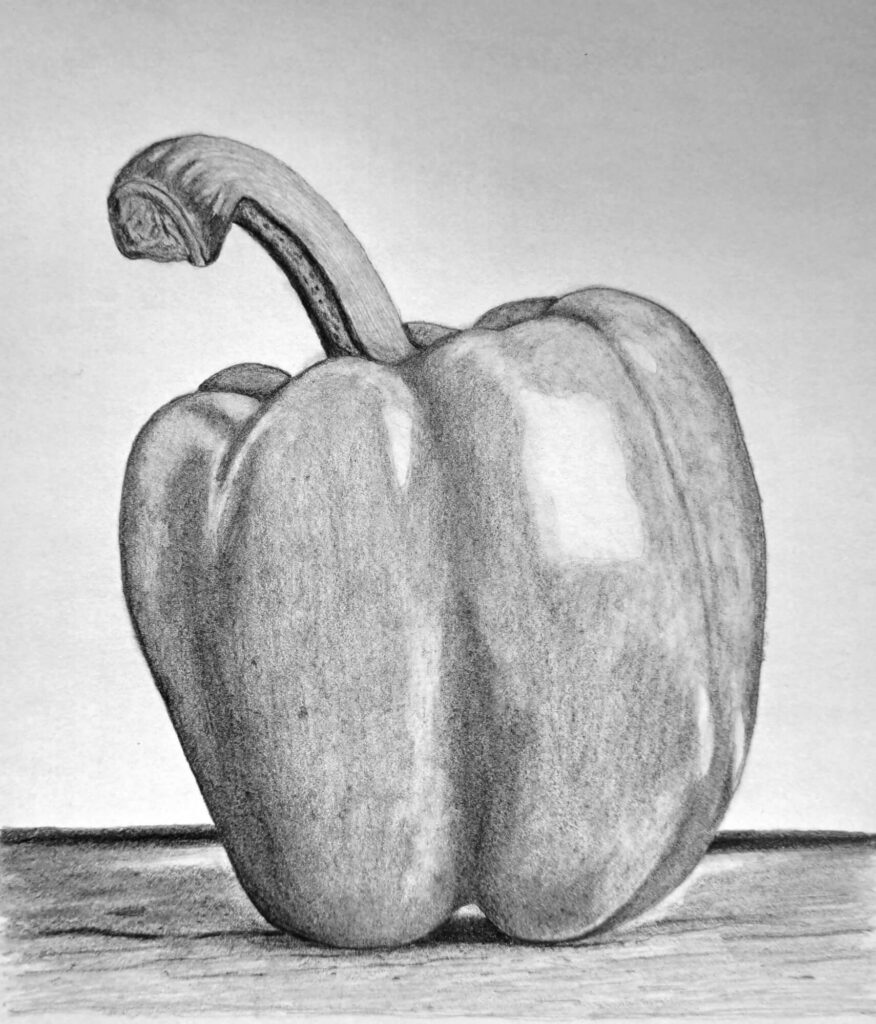 Bell Pepper Drawing Featured